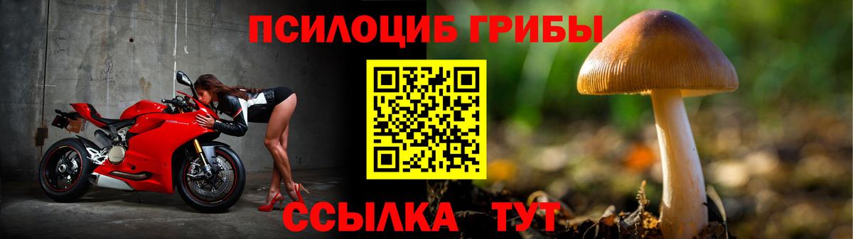 Благодарный  Галлюциногенные грибы Magic Shrooms  Вход с VPN 